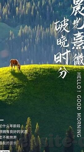 91麻豆传媒网址-探寻成人领域的多样性，关于91麻豆的多元化娱乐视角