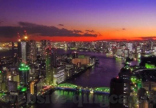 大象吃胡萝卜视频-视频背后的奇妙世界，大象与胡萝卜的温馨邂逅