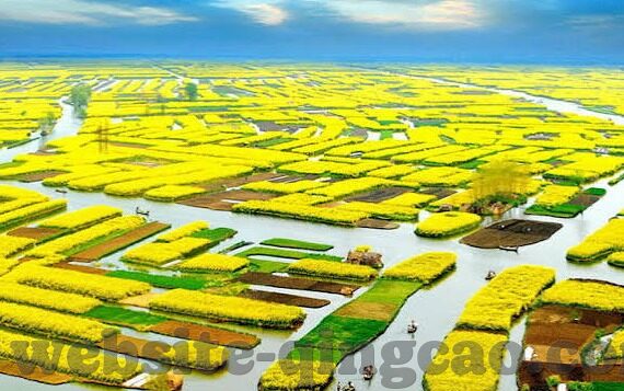 国产麻豆小视频-国产麻豆小视频，文化现象与影响探析