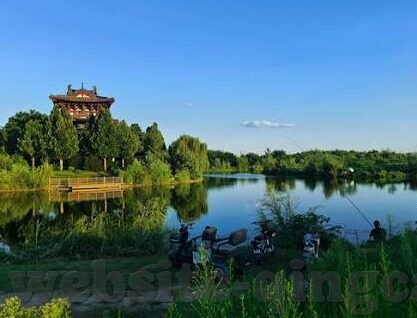 麻豆久久91精品国产-麻豆久久91，探索国产精品文化的独特魅力