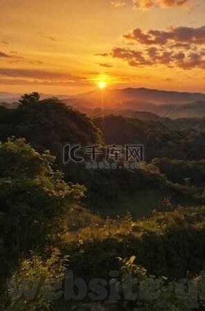 免费伦理电影在线观看-免费伦理电影在线观看，拓宽视野与心灵之旅