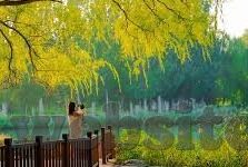 欧美伦理2018-欧美伦理的2018，文化碰撞与价值重塑