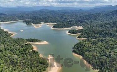 人妻类小说-探寻情感深处的温柔港湾，人妻类小说的细腻世界