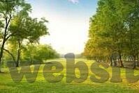 糖心app怎么玩的-体验甜蜜的旅程，探索糖心APP的多样玩法